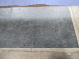 image of grave number 503955
